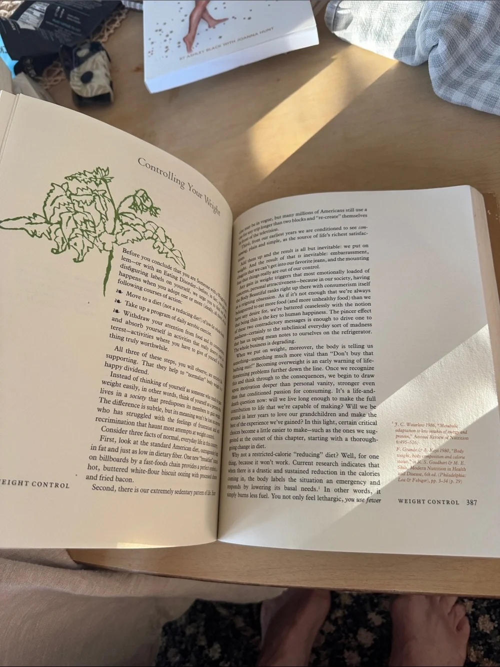 The New Laurel's Kitchen Cookbook — Brown and Green Cover